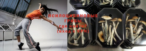 не бодяженный Аркадак