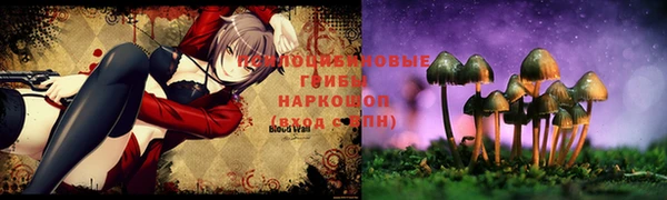мдма Бородино