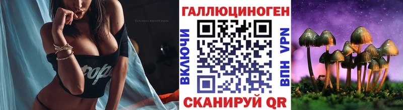 Галлюциногенные грибы Psilocybine cubensis закладки Кубинка
